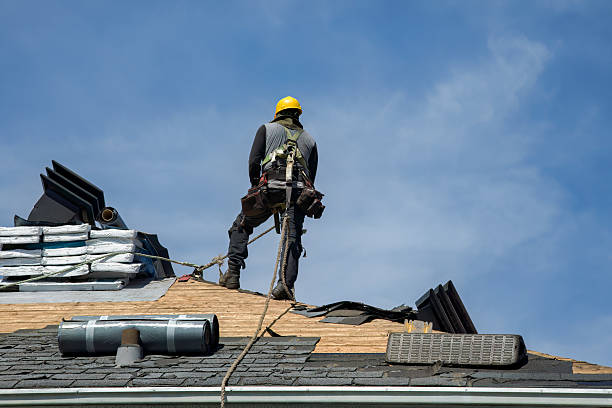 Professional Storm Damage Roof Repair technician working in Newtonville, NJ